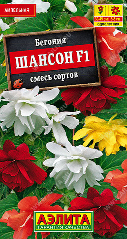 1288A Бегония ампельная Шансон F1, смесь сортов 10шт