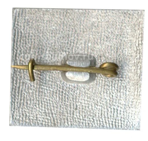 Значок Фестиваль