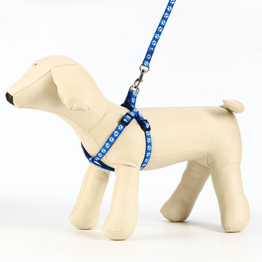 Комплект прошитый Лапки, ширина 1 см, поводок 120 х 1 см, ОГ 23-35 см, синий - Пижон фото 3