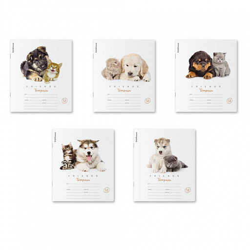 Цена за 280 шт. Тетрадь школьная ученическая ErichKrause Дружба, 12 листов, линейка (в плёнке по 10 шт.)  фото 13