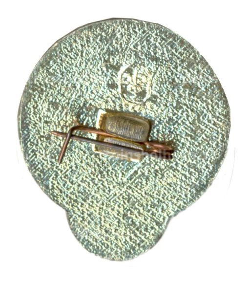 Значок Российская аэростатная группа Экосфера