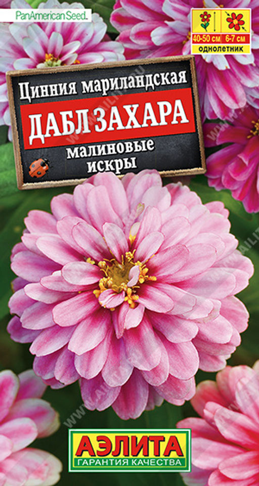 Цинния Дабл Захара малиновые искры (2029