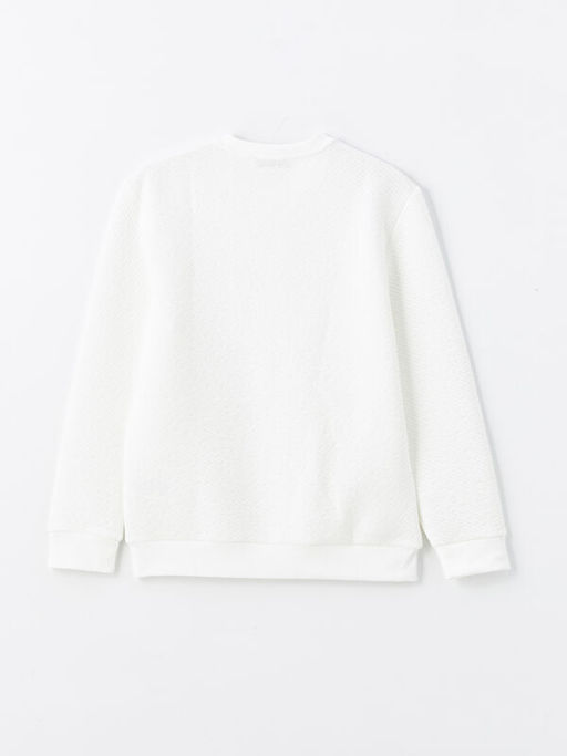 Bisiklet Yaka Uzun Kollu Erkek Dokulu Sweatshirt - Waikiki фото 2