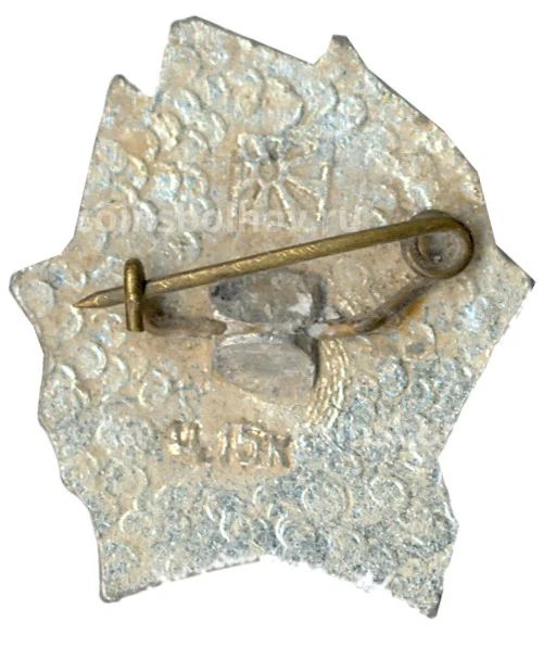 Значок Всегда Готов!