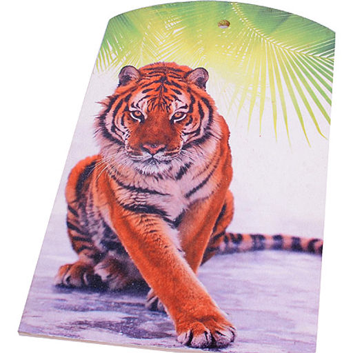 ЛФ-08 Доска ламинированная фанера 180*300 (х25) - Mayer&boch фото 3