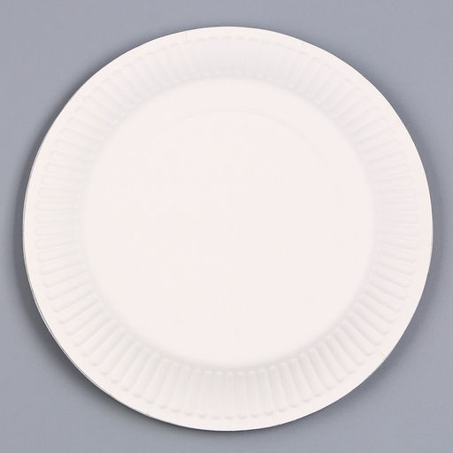 Цена за 10 шт. Тарелка одноразовая бумажная «Динозавр», 18 см