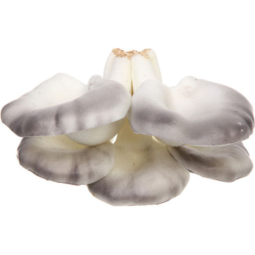 Фигура садовая "Вешенки" 10*14 см, серый