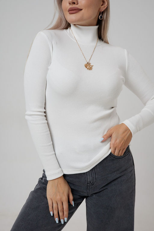 Водолазка женская ВЖ-001