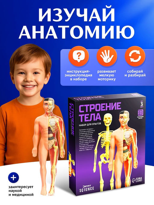 Набор для опытов Строение тела, анатомия человека - Эврики фото 17