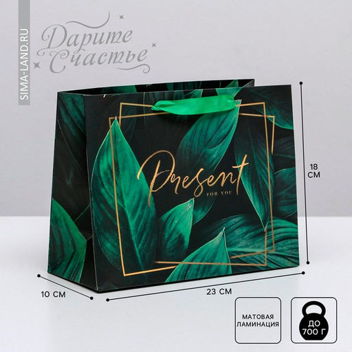 Цена за 2 шт. Пакет подарочный ламинированный, упаковка, Present for you, MS 23×18×10 см
