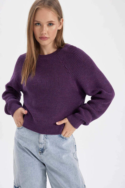 Крутой свитер стандартной посадки с круглым вырезом - Defacto фото 5