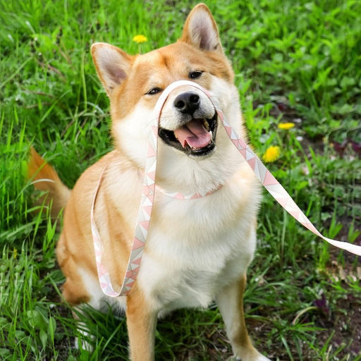 Набор Ромбы, застёжка - фастекс, поводок 2 м и ошейник 28-46 см - Пушистое счастье фото 12