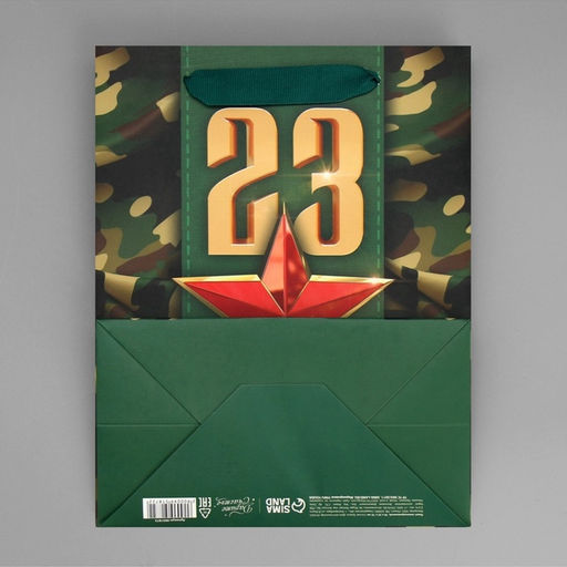 Цена за 2 шт. Пакет подарочный ламинированный, упаковка, С 23 февраля, MS 18?23?10 см