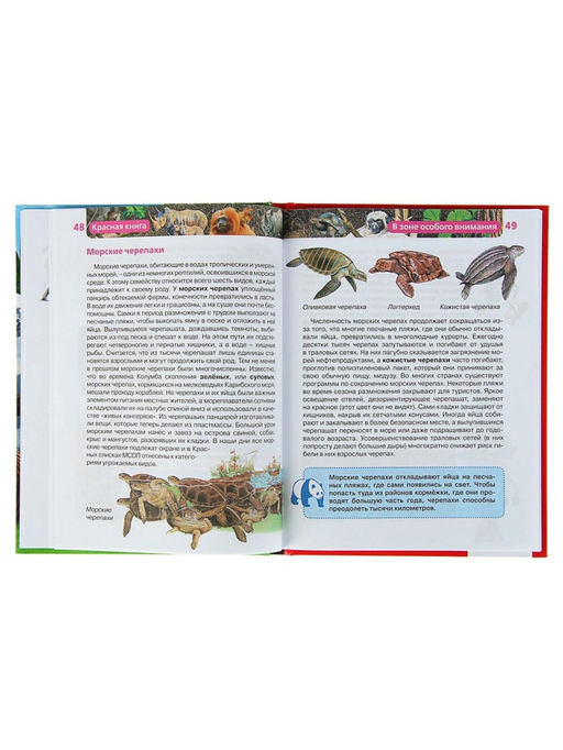 Детская энциклопедия «Красная книга»