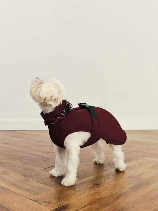 джемпер (попона) для животных / Zarina фото 5