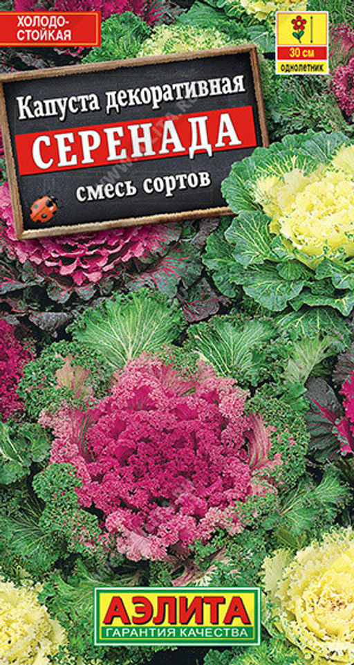 1487A Капуста декоративная Серенада, смесь сортов 0,1гр
