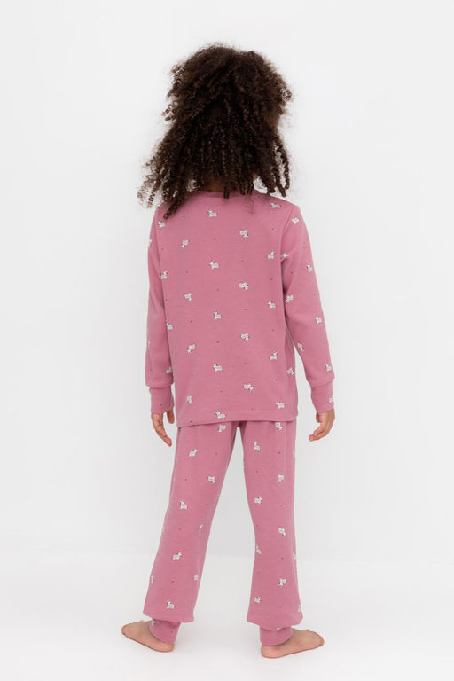 К 1552/пепельная роза,смешные зебры пижама дет