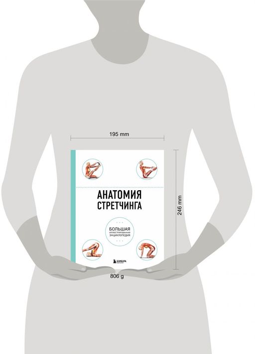Анатомия стретчинга. Большая иллюстрированная энциклопедия