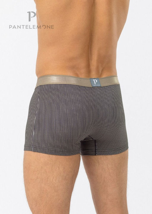 Мужские трусы-шорты PMH-1226 Полоса серая - Pantelemone фото 2