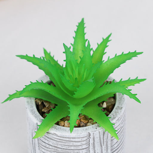 Цветочная композиция Кактус / WER-22 /уп 12/192/ микс - Галеонтрейд фото 25