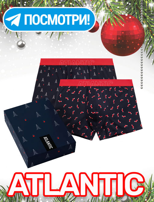 ATLANTIC 2GMH-027 Трусы шорты Socks - набор 2 шт. темно-синий  фото 11