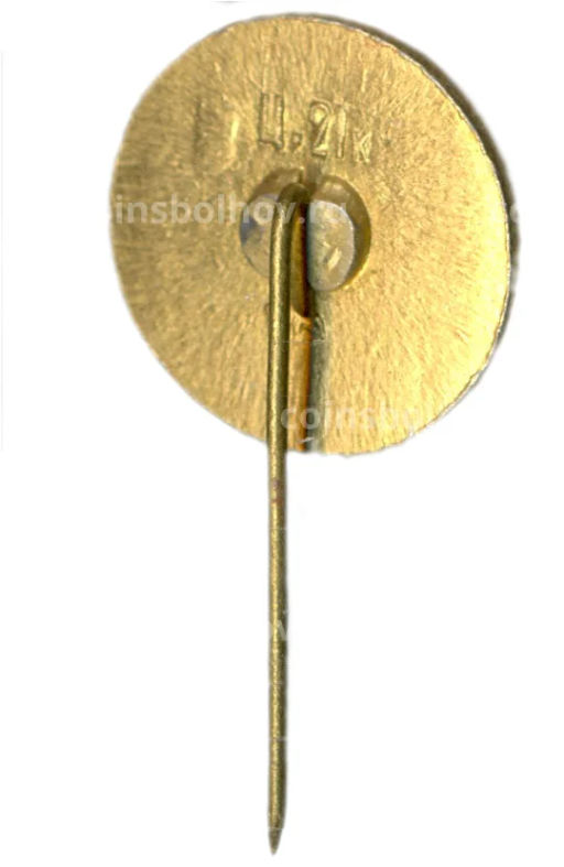 Значок Коенский Замок