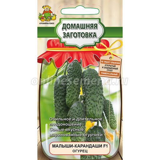 Огурец Малыши-карандаши F1 (сер.Домаш.заготовка) (А) (ЦВ) 12шт