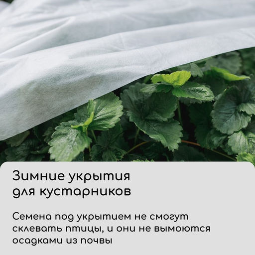Материал укрывной, 5×1.6 м, плотность 60 г/м², спанбонд с УФ-стабилизатором, белый, Greengo, Эконом 30%