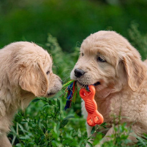 Игрушка жевательная с канатом Косточка на привязи, 9,5 см, розовая - Пижон фото 7