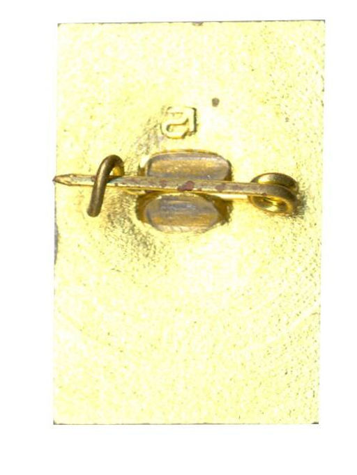 Значок Петродворец