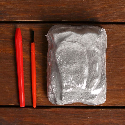 Раскопки «Пиратские монеты»