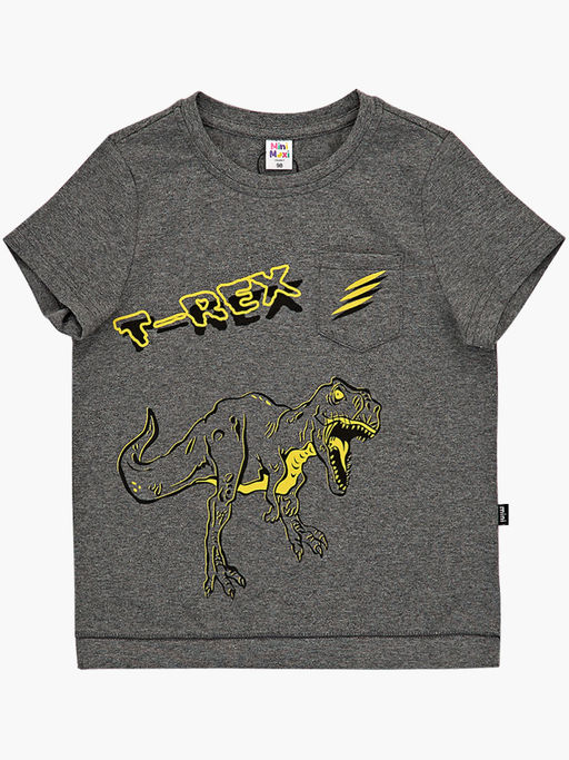 Футболка с принтом UD 4672 графит меланж - Mini maxi фото 4