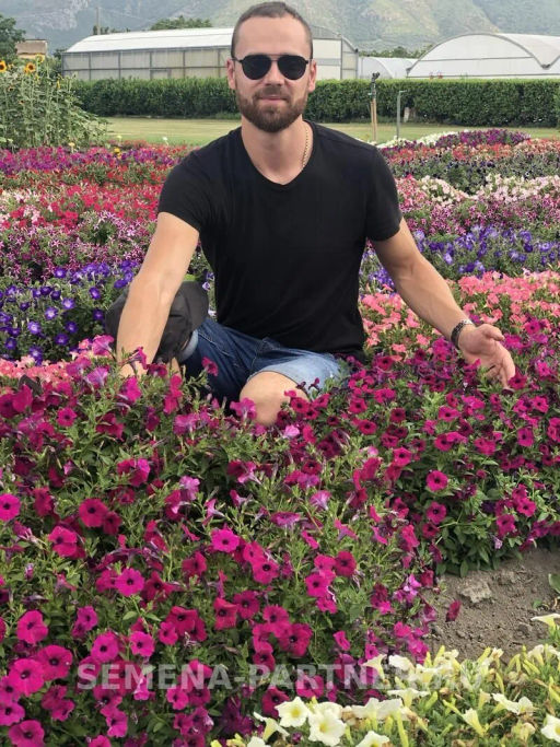 Петуния Амбре Элоиз каскадная пурпурная - Партнер фото 6