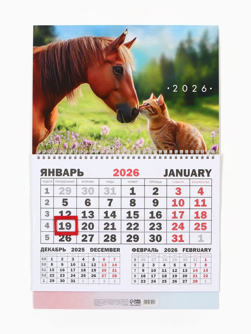 Календарь настенный квартальный 2026 «Лошадь с котенком», 30×46 см