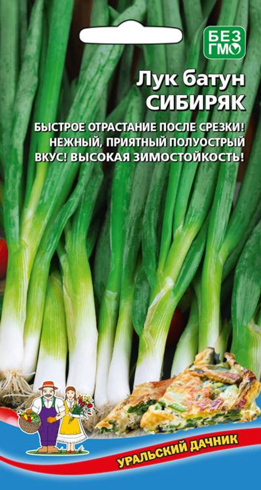 Лук батун СИБИРЯК Быстрое отрастание после срезки! Нежный, приятный полуострый вкус! Зимостоек!