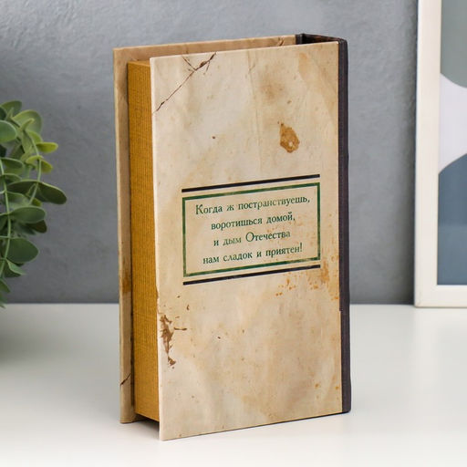 Шкатулка книга-сейф «Горе от ума», 21×13×5 см