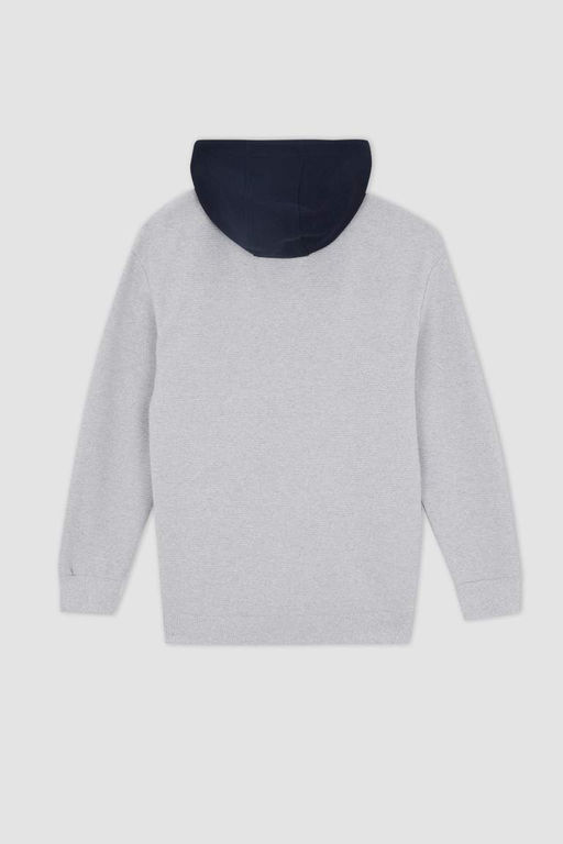 Толстовка Comfort Fit на мягкой подкладке на молнии - Defacto фото 10