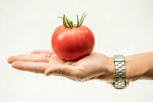 Томат Королева - Партнер фото 3