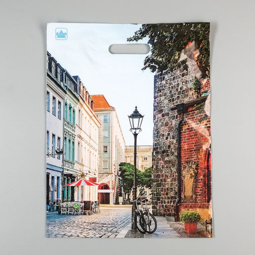 Цена за 50 шт. Пакет «Улица», полиэтиленовый с вырубной ручкой, 60 мкм, 31×40 см