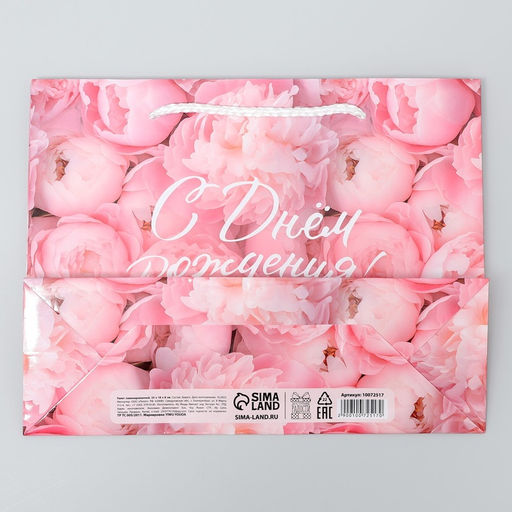 Цена за 2 шт. Пакет подарочный ламинированный, упаковка, «С Днём рождения!», MS 23 х 18 х 8 см