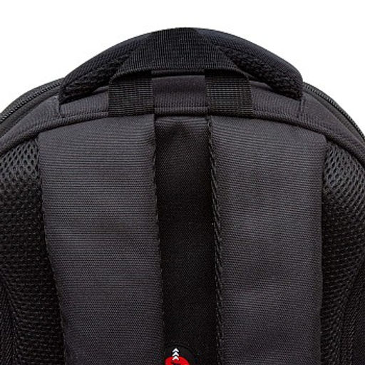 RAz-487-12 Рюкзак школьный - Grizzly фото 8