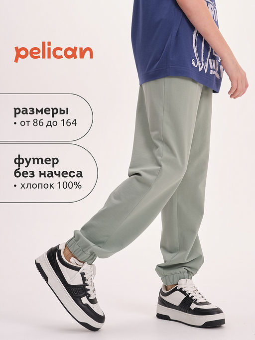 Pelican BFPQ3321U Брюки для мальчиков