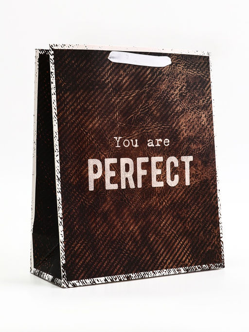 Пакет подарочный вертикальный YOU are PERFECT, 26?32?12 см