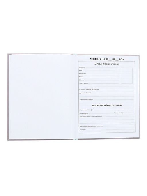 Цена за 2 шт. Дневник универсальный для 1-11 классов, «Котята», твердая обложка 7БЦ, глянцевая ламинация, 40 листов