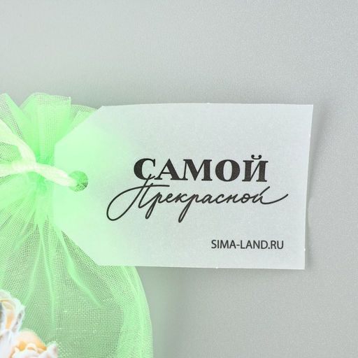 Цена за 5 шт. Мешочек подарочный из фатина с термонаклейкой Самой прекрасной, 11?16 см 1.5 см