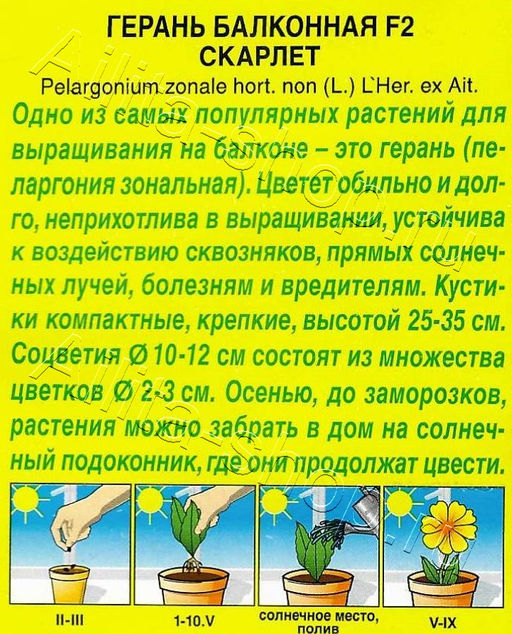 Герань Балконная скарлет F2 5шт. (Аэлита)