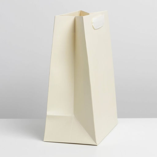 Цена за 2 шт. Пакет подарочный ламинированный, упаковка, «Молочный», MS 18 х 23 х 10 см