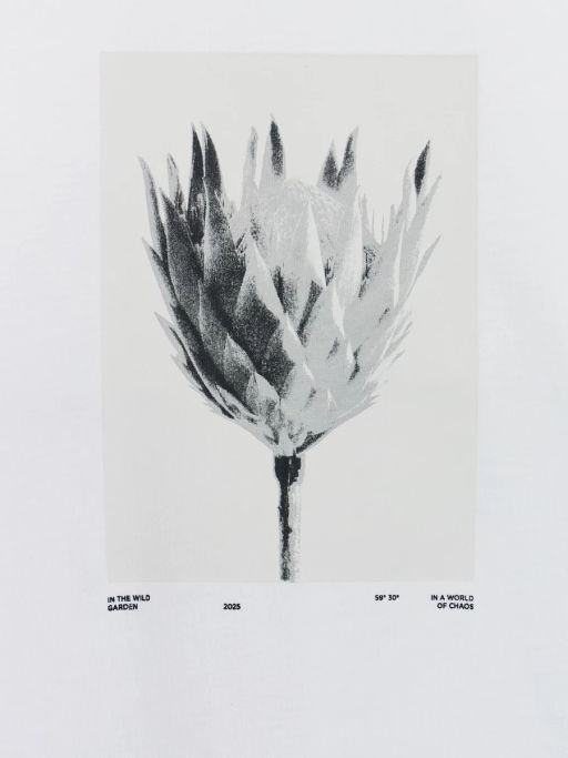 Футболка regular fit с принтом / Zarina