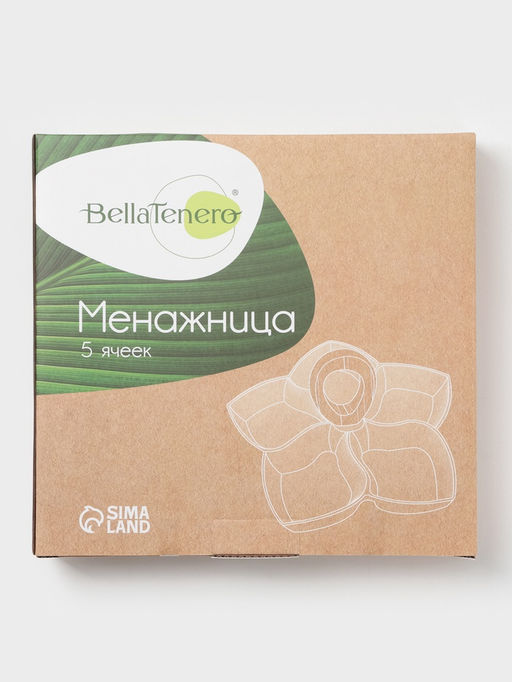 Менажница 5 ячеек BellaTenero, 25×25 см, фарфор, белая