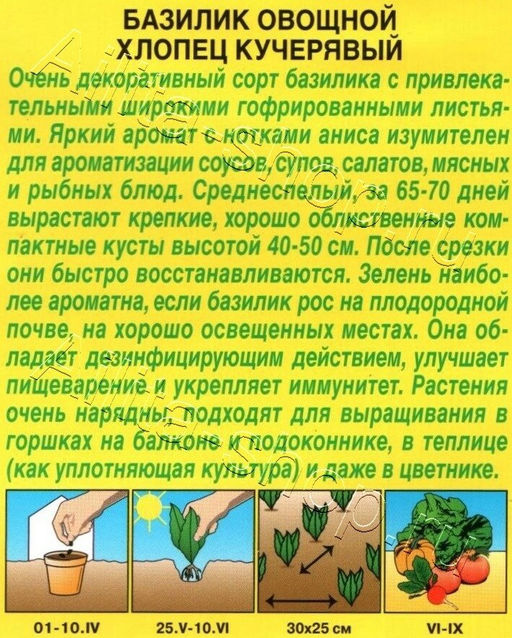 Базилик овощной Хлопец кучерявый 0,2г (Аэлита)